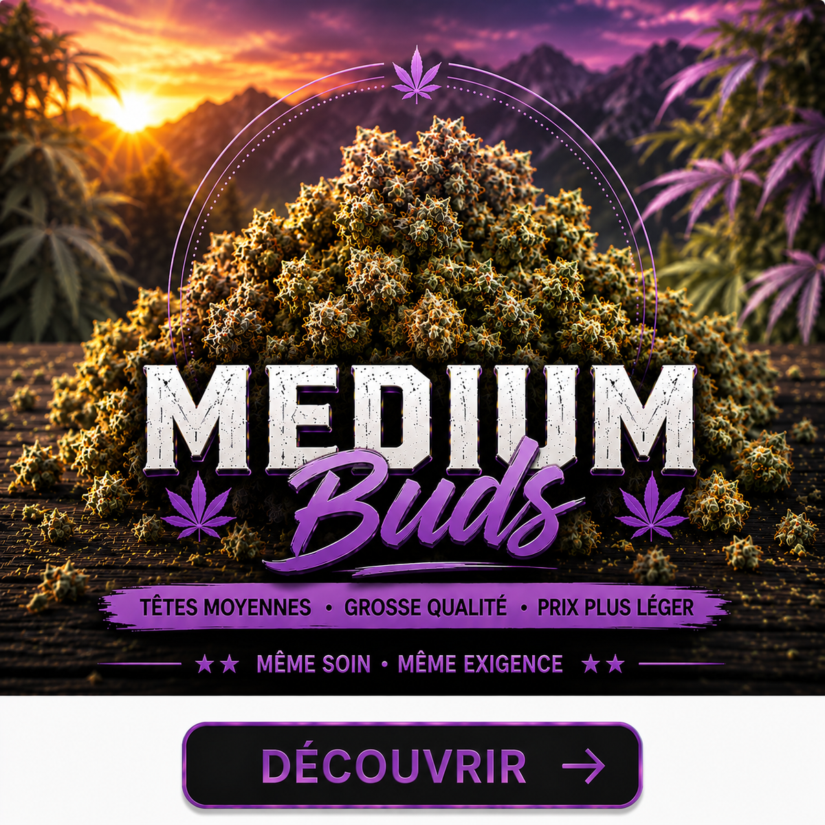 Medium Buds