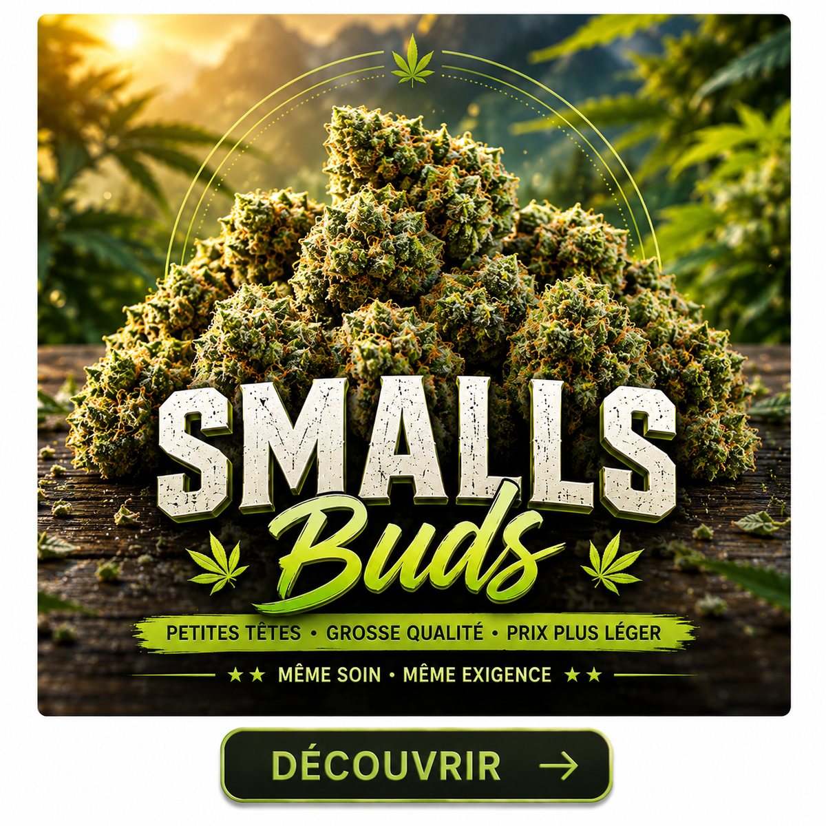 Smalls Buds