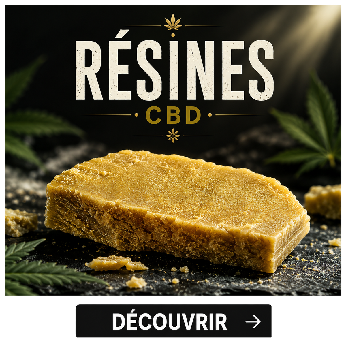 Toutes nos résines