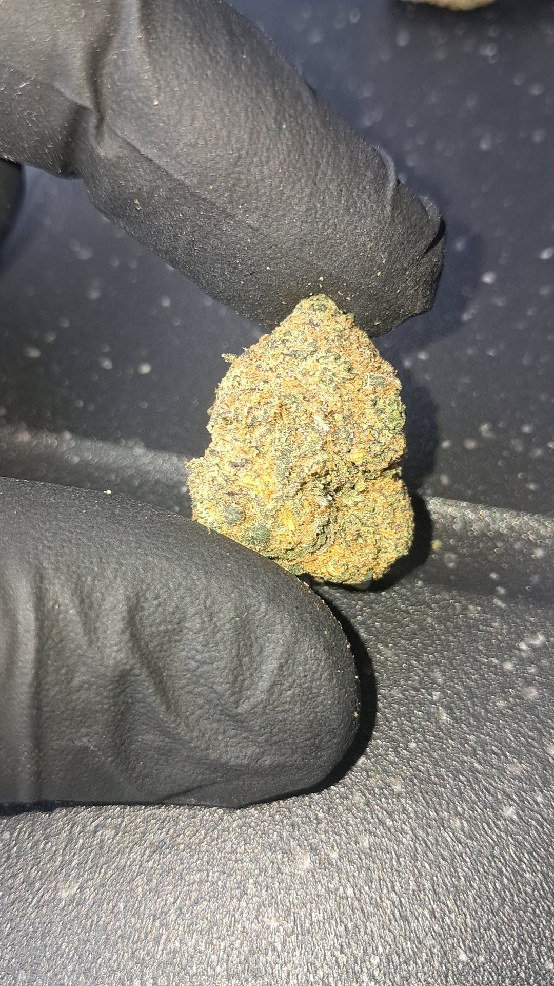 Purple Gaz