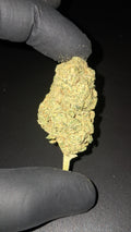 PAYTON STRAWBERRY