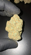 CALI ORANGE BUD