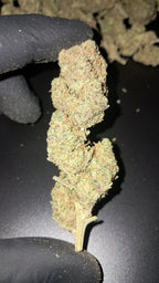 APPLE FRITTER