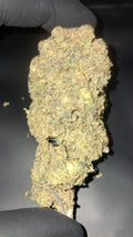 PLATINUM GUSHERS