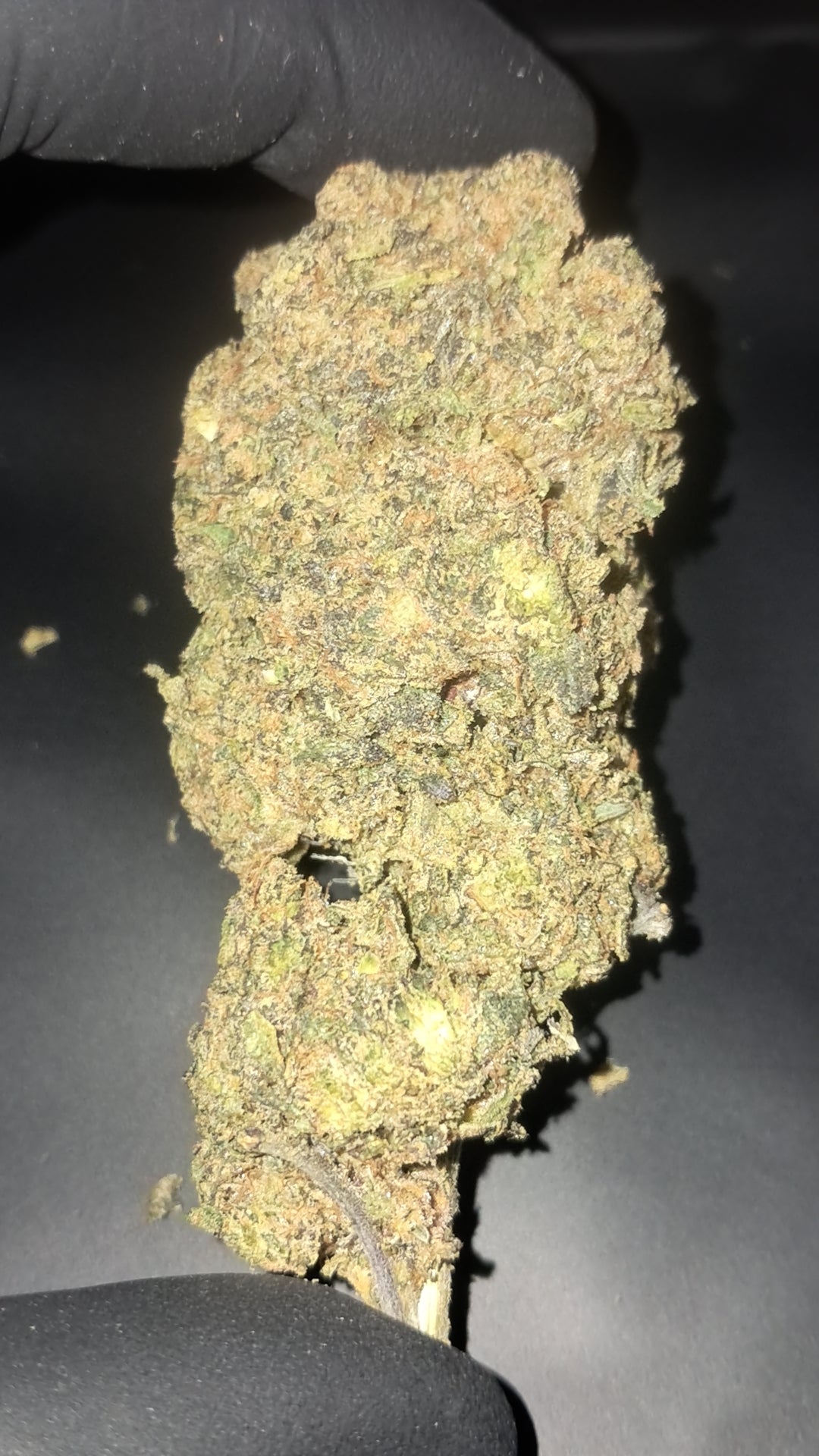 PLATINUM GUSHERS
