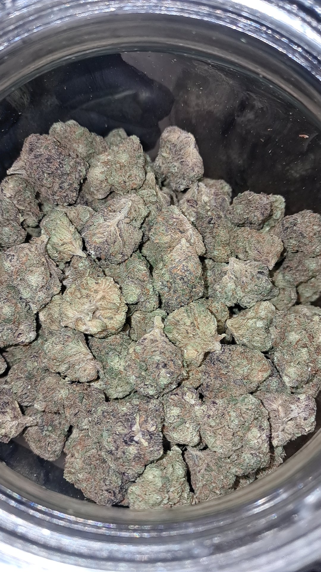 CALI HQ