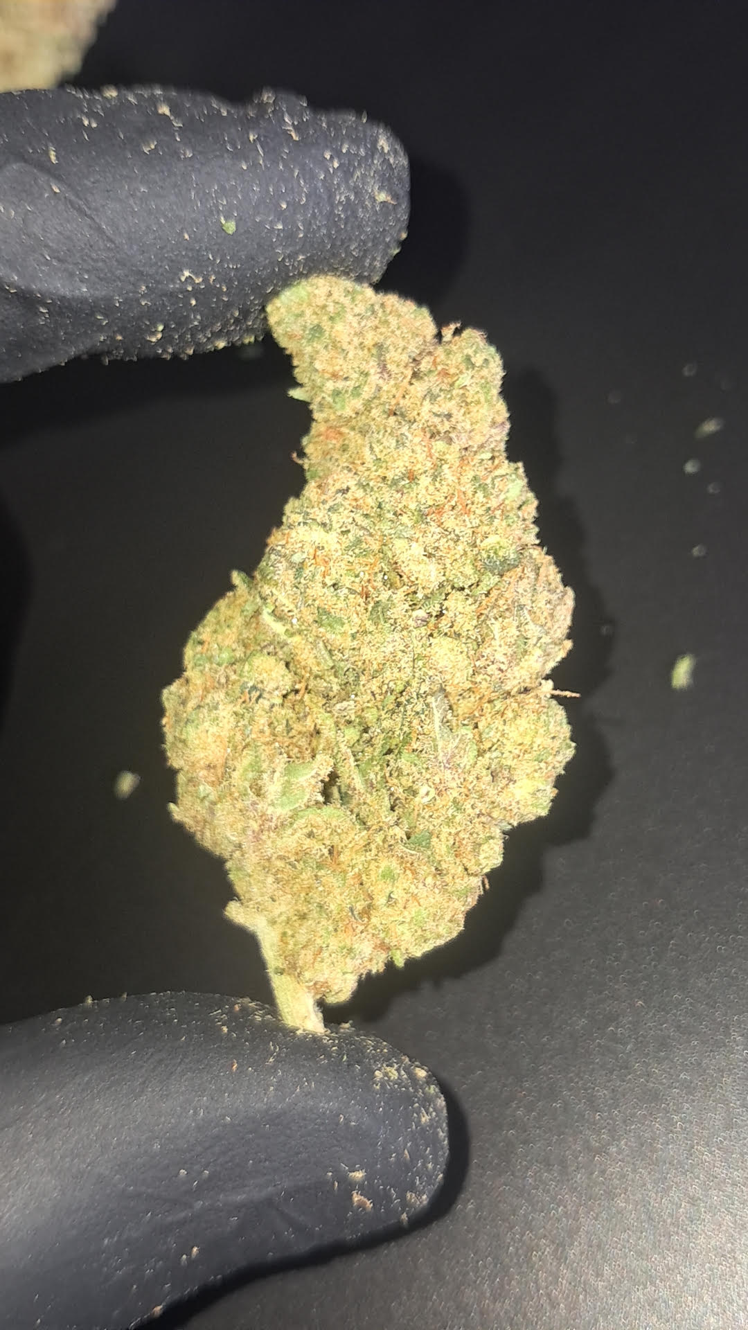 Plutonium