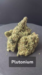 Plutonium