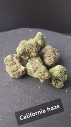 CALIFORNIA HAZE