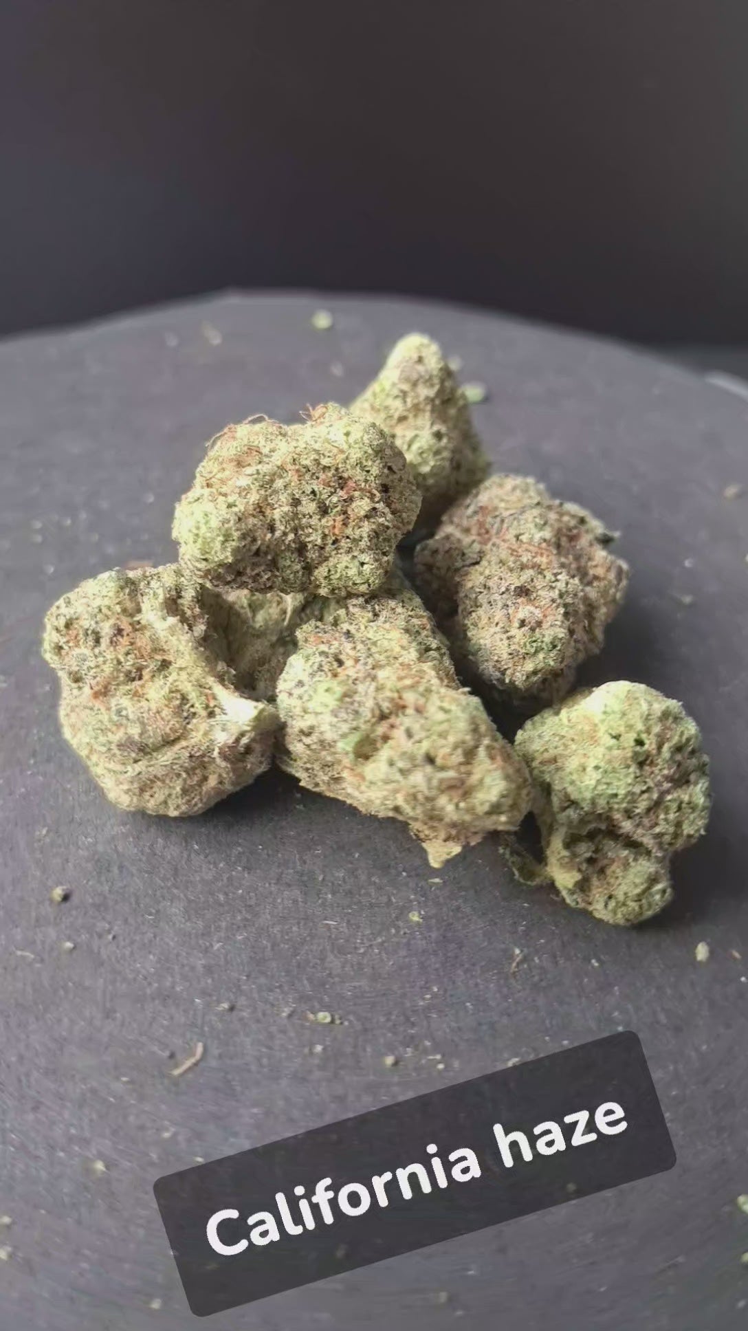 CALIFORNIA HAZE
