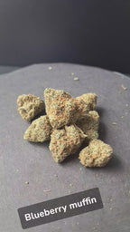 Blueberry Muffin