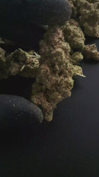 APPLE FRITTER